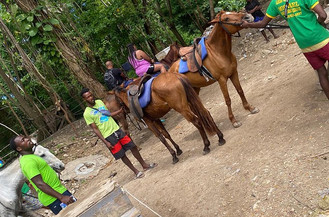 Private Horseback Riding with Blue Hole River Tour in Montego Bay - Logistics That Matter: Pickup, Private Group, and Comfort