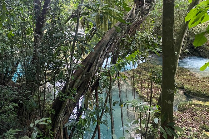 Private Horseback Riding with Blue Hole River Tour in Montego Bay - Discover Bay Horseback: Picking Your Horse and Riding the Beach