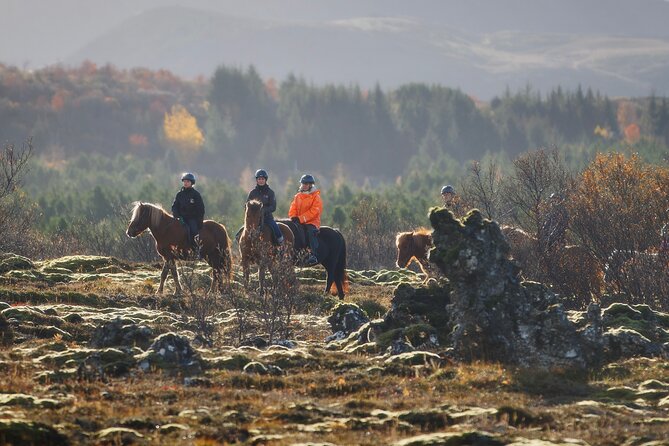 Private Icelandic Horseback Ride: Matched to Skill Level - Key highlights that make this ride worth it