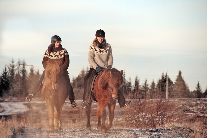 Private Icelandic Horseback Ride: Matched to Skill Level - Where you meet: Sörlaskeið 26 in Hafnarfjörður
