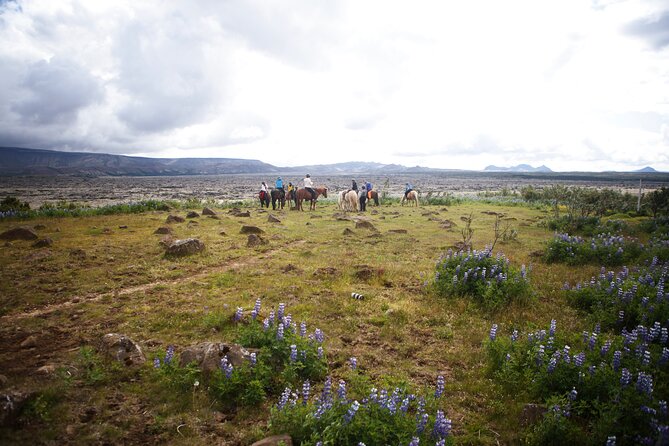 Private Icelandic Horseback Ride: Matched to Skill Level - Skill-level matching: why it’s more than a marketing line