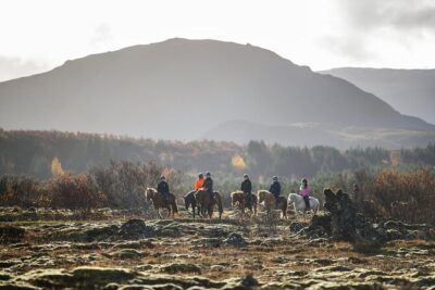 Private Icelandic Horseback Ride: Matched to Skill Level - The 50-minute flow: what the experience feels like