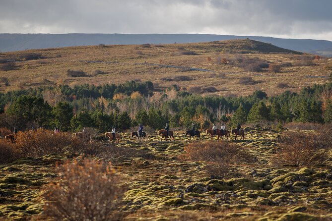 Private Icelandic Horseback Ride: Matched to Skill Level - The scenery ride: lava fields and green hillsides