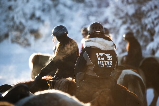 Private Icelandic Horseback Ride: Matched to Skill Level - Horses and guides: calm animals, professional pacing