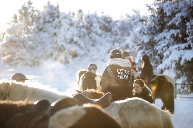 Private Icelandic Horseback Ride: Matched to Skill Level - What’s included: equipment and warm drinks