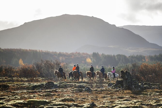 Private Icelandic Horseback Ride: Matched to Skill Level - The 50-minute flow: what the experience feels like