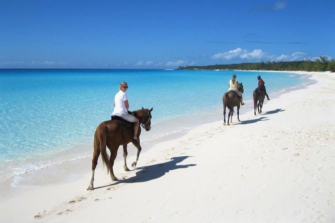 Private Macao Beach horseback riding in punta cana and Bayahibe - Key highlights you’ll care about