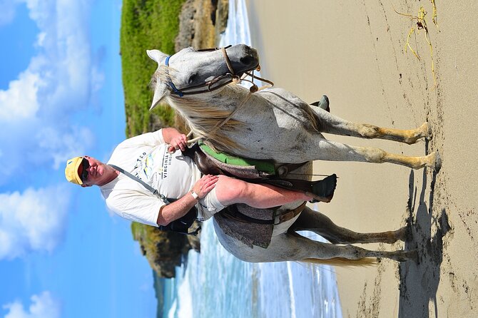 Private Macao Beach horseback riding in punta cana and Bayahibe - Booking decision: should you choose this Macao Beach horseback ride?