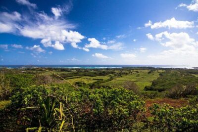 Private Sunset Dinner Horseback Ride - Key reasons this sunset ride works