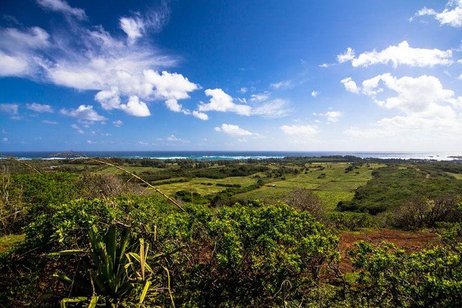 Private Sunset Dinner Horseback Ride - Key reasons this sunset ride works