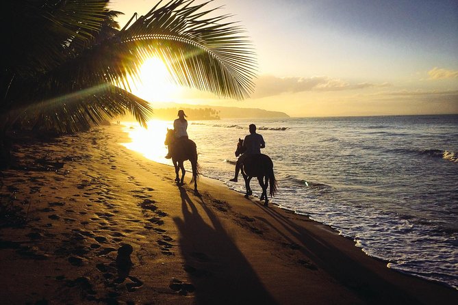 Private Sunset Horseback Riding in punta cana beach - Key things to know before you book