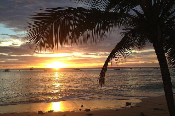 Private Sunset Horseback Riding in punta cana beach - The ranch intro: meeting the animals and getting geared up