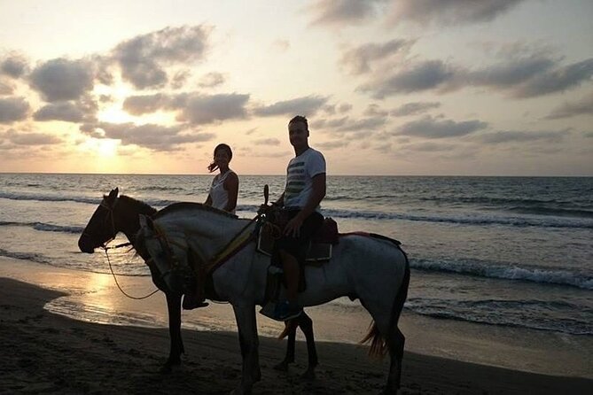 Private Sunset Horseback Riding in punta cana beach - Horse comfort and safety: what’s good, and what to clarify