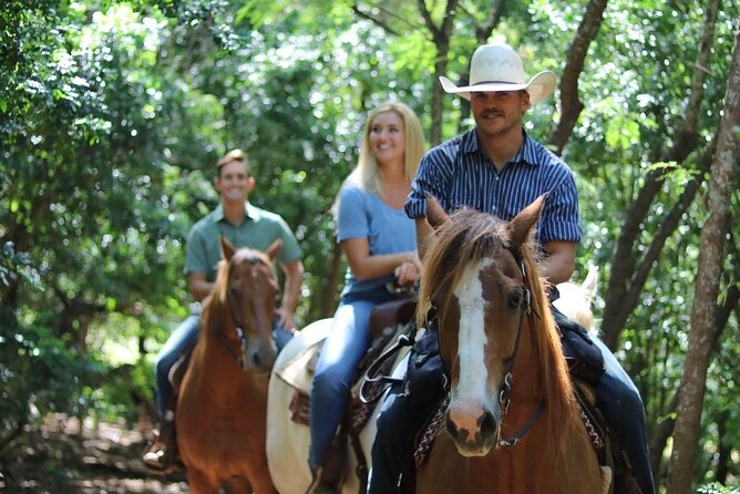 Private Sweetheart Horseback Ride - Logistics That Actually Matter on the Day