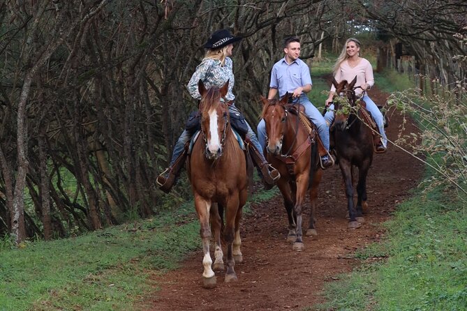 Private Sweetheart Horseback Ride - Who This Sweetheart Ride Is Best For