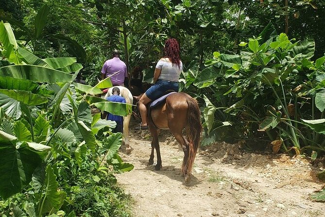 Private Tour to Dunns River and Horseback Riding with Local Guide - Why this combo hits so well: falls power + beach calm