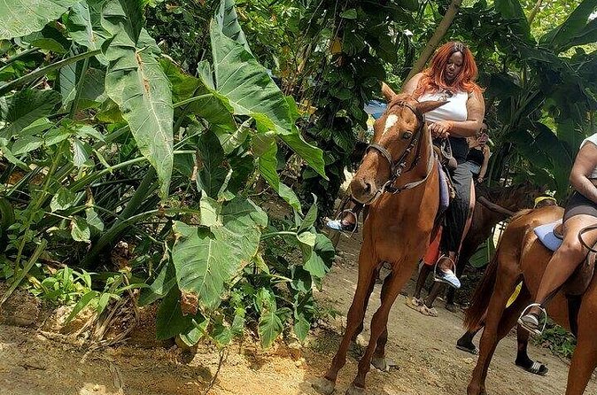 Private Tour to Dunns River and Horseback Riding with Local Guide - The included touches: rum punch, snacks, and why they matter