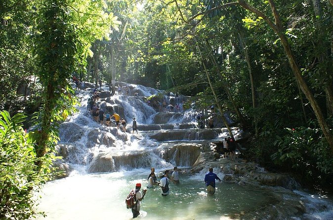 Private Tour to Dunns River and Horseback Riding with Local Guide - Value check: is $115 per person fair for this private day?