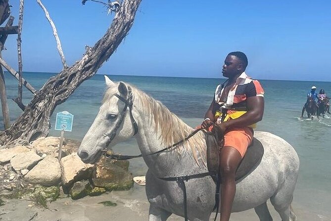 Private Tour to Dunns River and Horseback Riding with Local Guide - Timing and timing reality: a 6-hour day that still feels relaxed