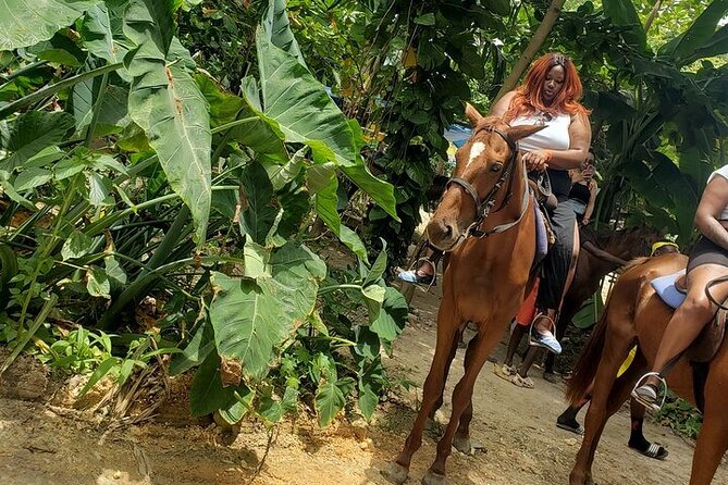 Private Tour to Dunns River and Horseback Riding with Local Guide - Who should book this tour, and who should skip it