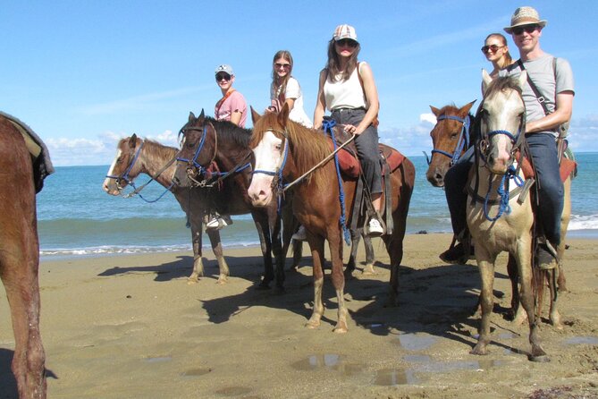 Puerto Plata City Horseback Riding Tour ,Rios,Beaches and Countryside - Key Highlights You’ll Feel Right Away