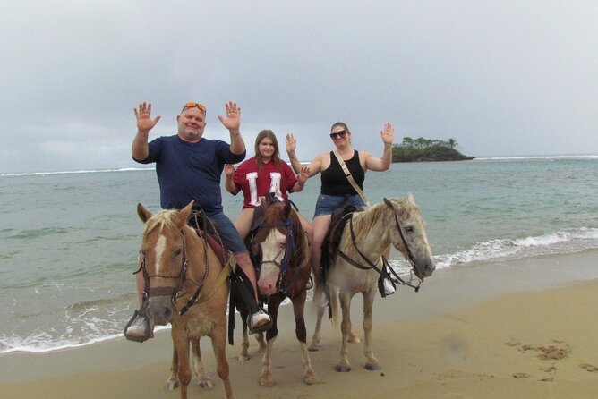 Puerto Plata City Horseback Riding Tour ,Rios,Beaches and Countryside - Coffee and Cocoa on a Family Farm: The Tasting Part You’ll Actually Remember