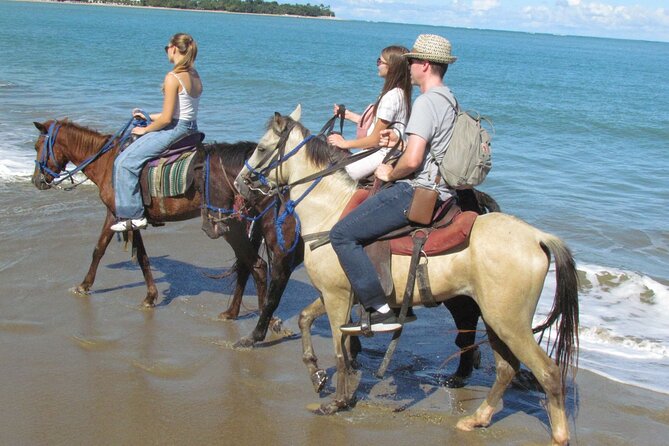 Puerto Plata City Horseback Riding Tour ,Rios,Beaches and Countryside - Why This Mix of Sea, Horses, and Farm Works So Well