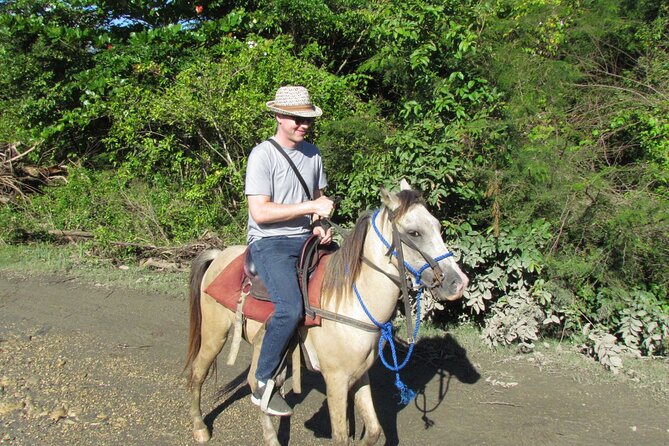 Puerto Plata City Horseback Riding Tour ,Rios,Beaches and Countryside - Who Should Book This Tour (and Who Might Skip It)