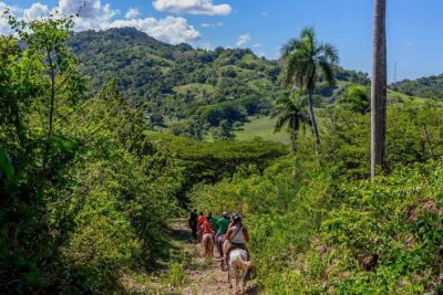 Puerto Plata: Damajagua waterfalls + Safari buggy + Horseback riding (TOP3IN1) - Safari buggy backroads: why the ride changes the whole tone