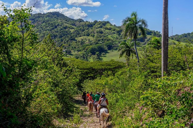 Puerto Plata: Damajagua waterfalls + Safari buggy + Horseback riding (TOP3IN1) - Safari buggy backroads: why the ride changes the whole tone