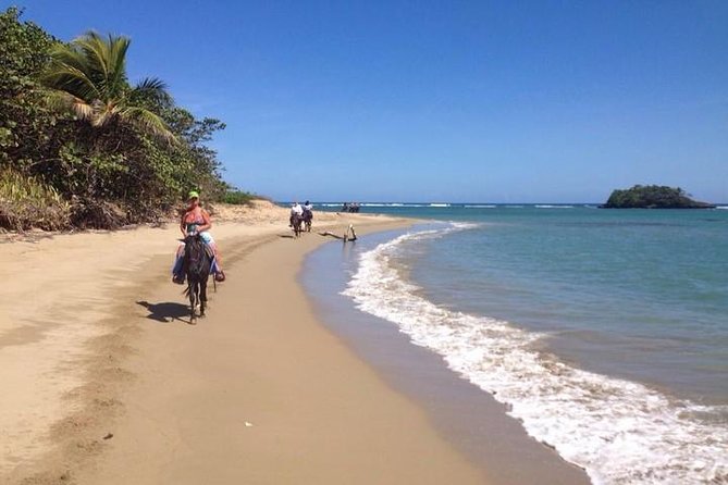 Puerto Plata: Sunset Beach Horseback Riding - Getting There in the Real World: Pickup, Trucks, and Timing