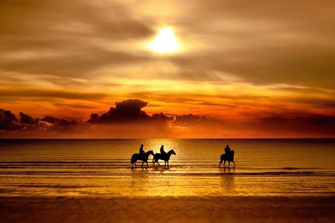Puerto Plata: Sunset Beach Horseback Riding - The Elvis Soft Drink Stop: Where Sunset Energy Peaks