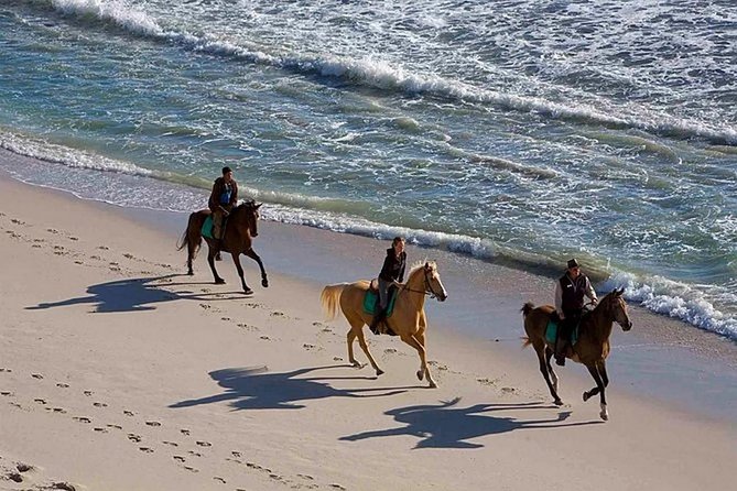 Puerto Plata: Sunset Beach Horseback Riding - Price and Value: What $69 Includes (and Why It Matters)