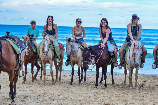Punta Cana Beach Horseback Ride Paradise Coast Experience - Key Things to Know Before You Go
