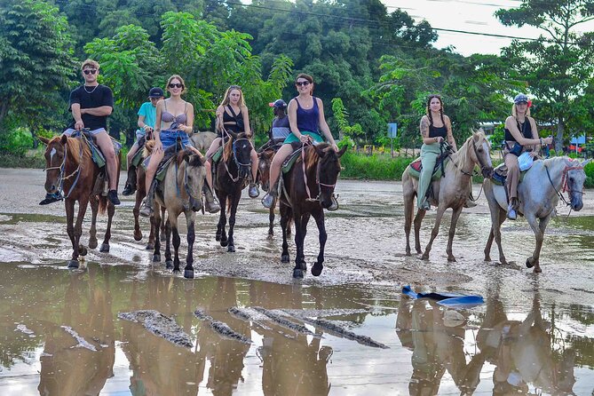 Punta Cana Beach Horseback Ride Paradise Coast Experience - Hotel Pickup to Ranch: The Trip Starts With Less Fuss