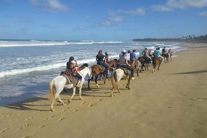 Punta Cana Beach Horseback Riding - Key highlights worth your time
