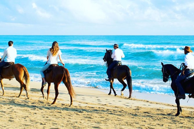 Punta Cana Beach Horseback Riding - Punta Cana Beach Horseback Riding: why it feels more like a story than a stunt