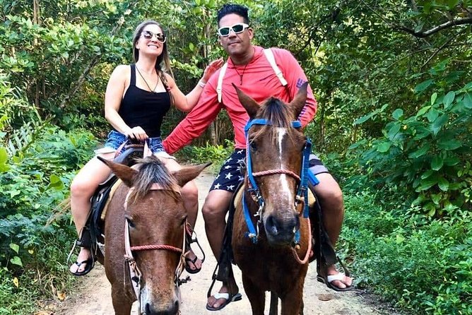 Punta Cana Beach Horseback Riding - Coconut palms, vegetation, and the off-the-beaten-path feel