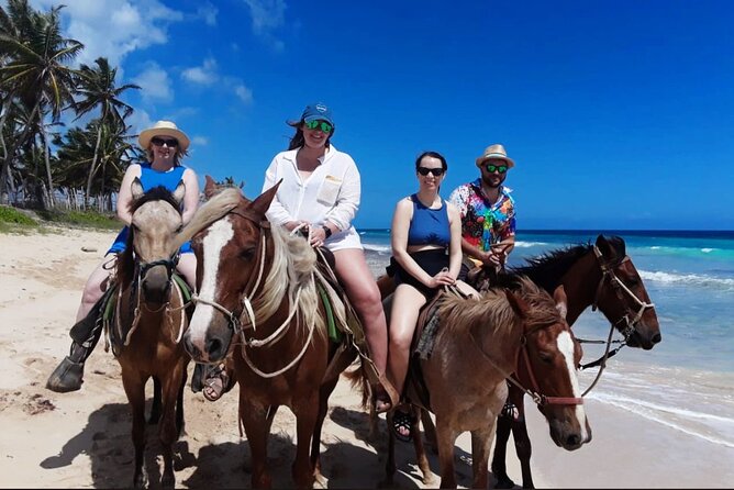 Punta Cana Horse Riding for Beaches in Field - Pickup, Vehicle Comfort, and Group Dynamics