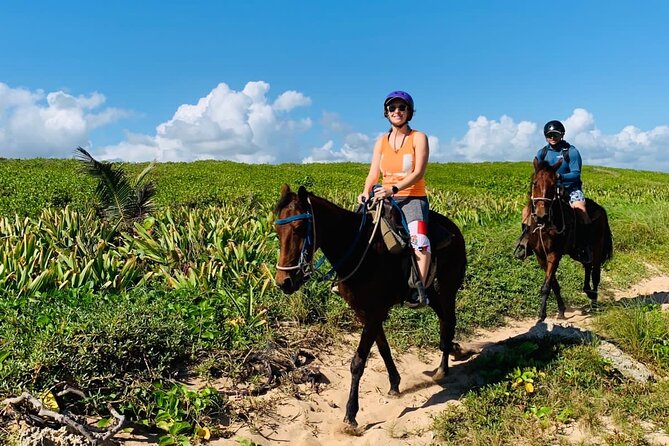Punta Cana Horseback Ride: Jungle, Macao Beach & Free Pick Up - What to bring so you’re comfortable the whole time