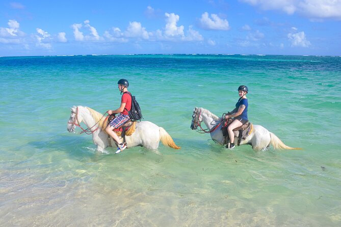 Punta Cana Horseback Riding Adventure - What the ride feels like in real time
