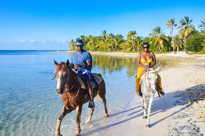 Punta Cana Horseback Riding Adventure - Hotel pickup and stables: the part that makes or breaks your day