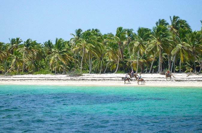 Punta Cana Horseback Riding Adventure - Choosing 1 or 2 hours: how to match the ride to your energy
