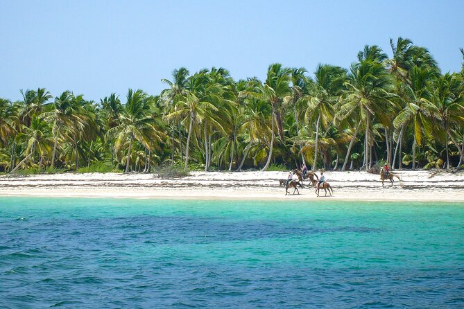 Punta Cana Horseback Riding Adventure - Beach pace: gallops for experienced riders (and a calmer ride for everyone else)