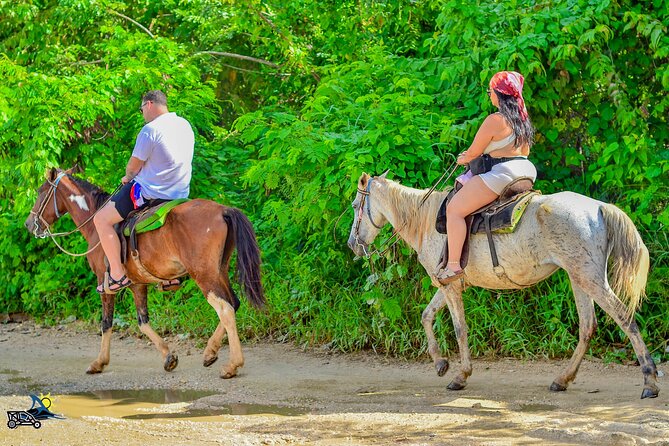 Punta Cana Horseback Riding Adventure on Macao Beach - Price and What You’re Really Getting for $50