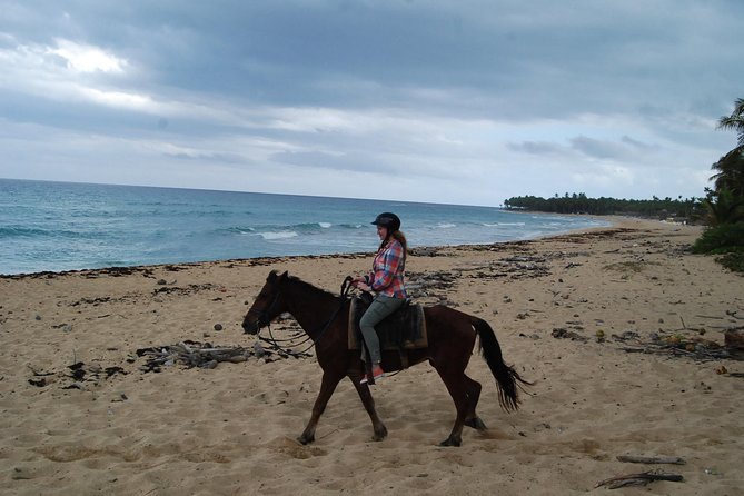 Punta Cana Horseback Riding on the Beach - Key Highlights You’ll Care About