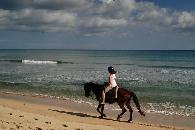 Punta Cana Horseback Riding on the Beach - From Stables to Saddle: What Happens Before You Hit the Sand