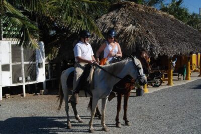 Punta Cana Horseback Riding on the Beach - Where You Start: Hotel Pickup, Mobile Ticket, and a Realistic Timeline
