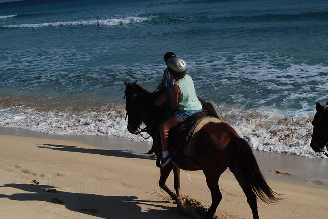Punta Cana Horseback Riding on the Beach - The Beach Ride Route: Surf, Trot, and an Ending That Feels Different