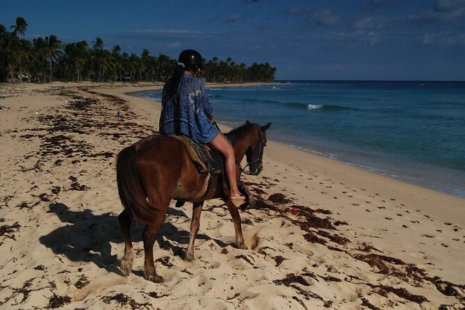 Punta Cana Horseback Riding on the Beach - The Coconut Break and Cooling Off Options